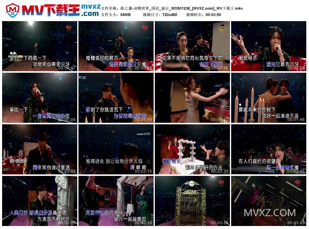 薛之谦-动物世界_国语_流行_MD501238